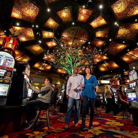 The Hotel At Black Oak Casino Resort Tuolumne Extérieur photo